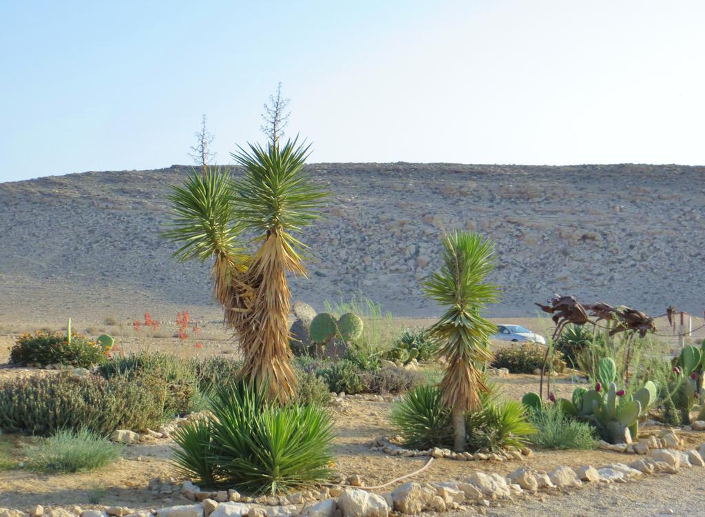 Succah In The Desert Mitzpe Ramon Εξωτερικό φωτογραφία