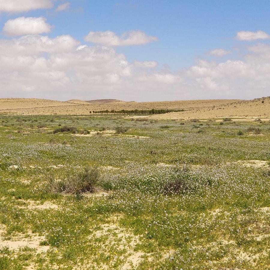 Succah In The Desert Mitzpe Ramon Εξωτερικό φωτογραφία