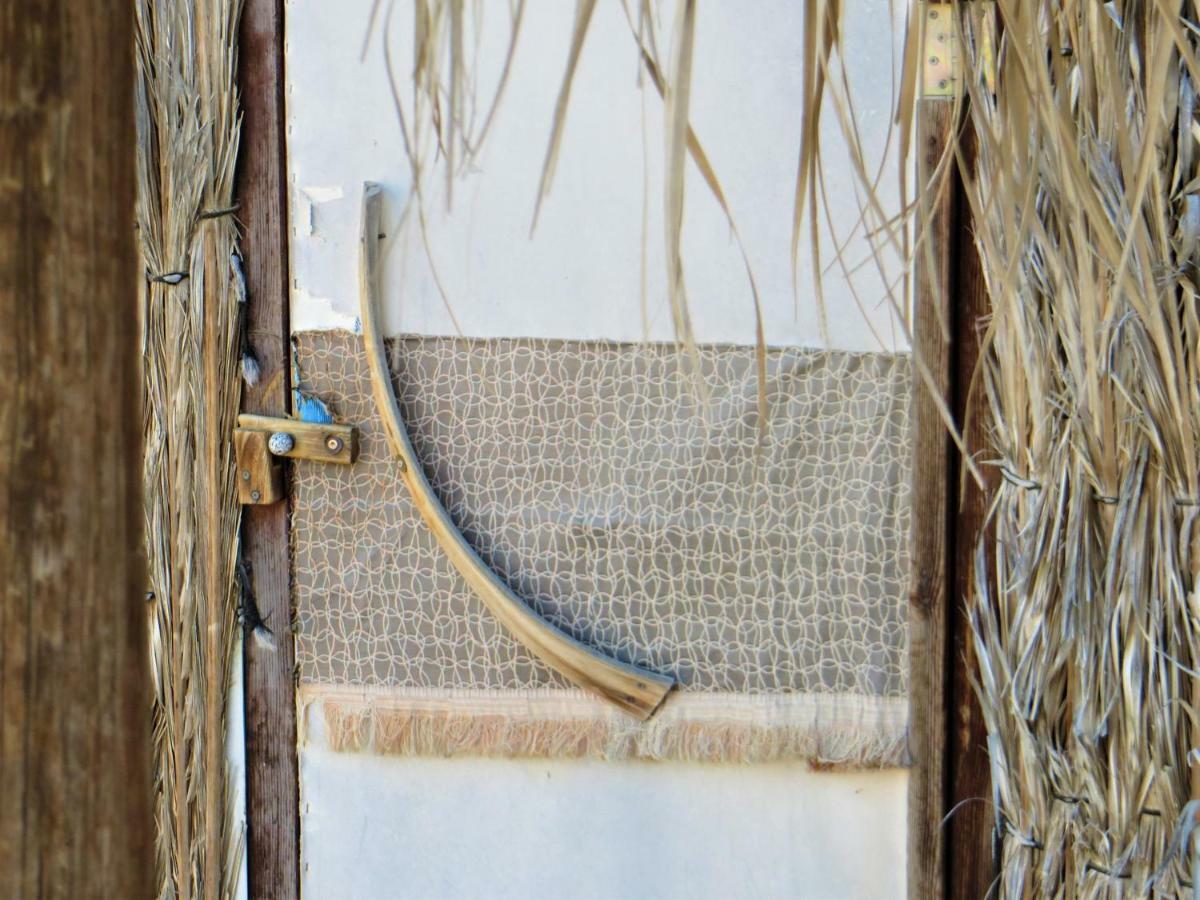 Succah In The Desert Mitzpe Ramon Εξωτερικό φωτογραφία