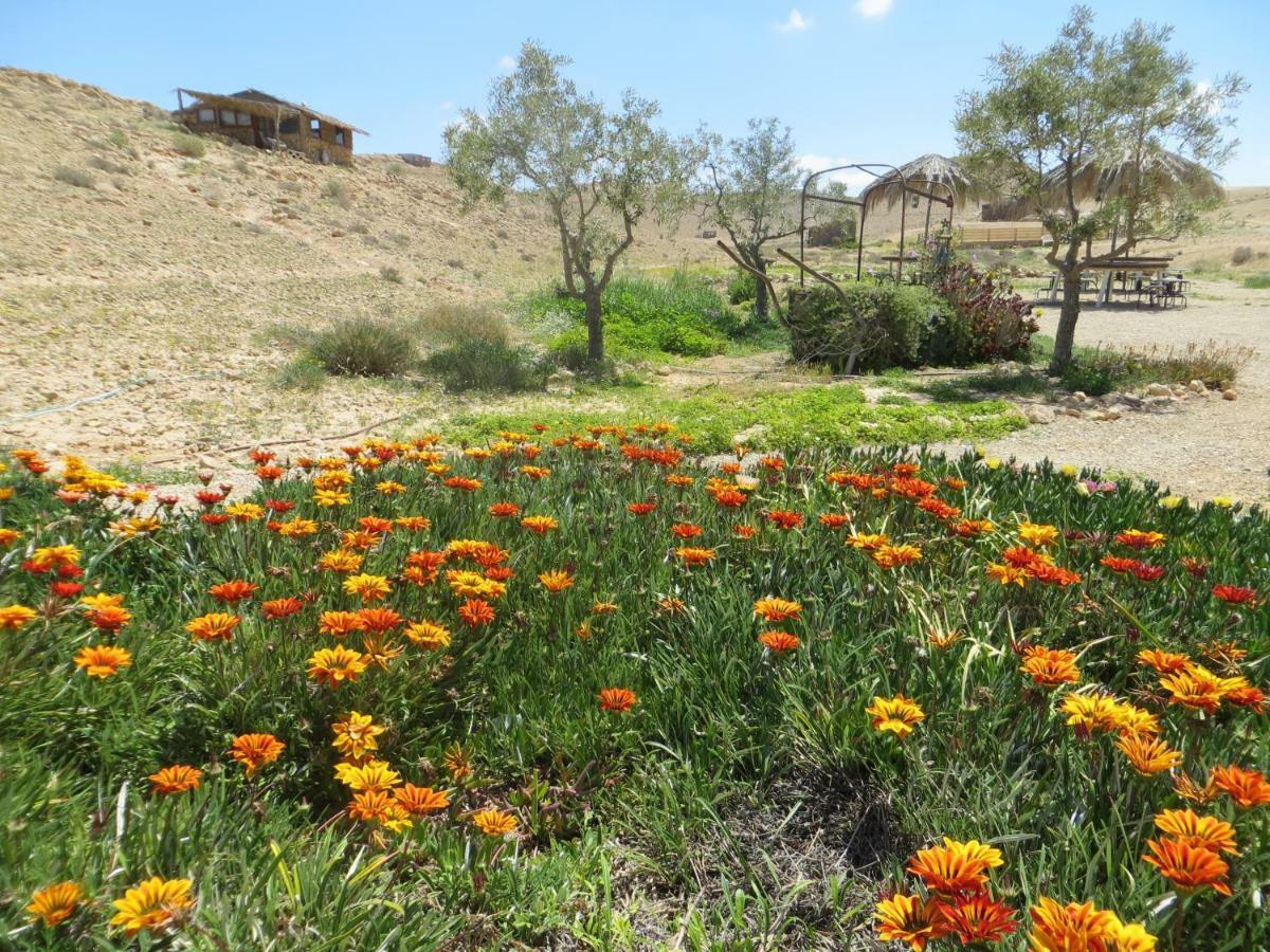 Succah In The Desert Mitzpe Ramon Εξωτερικό φωτογραφία